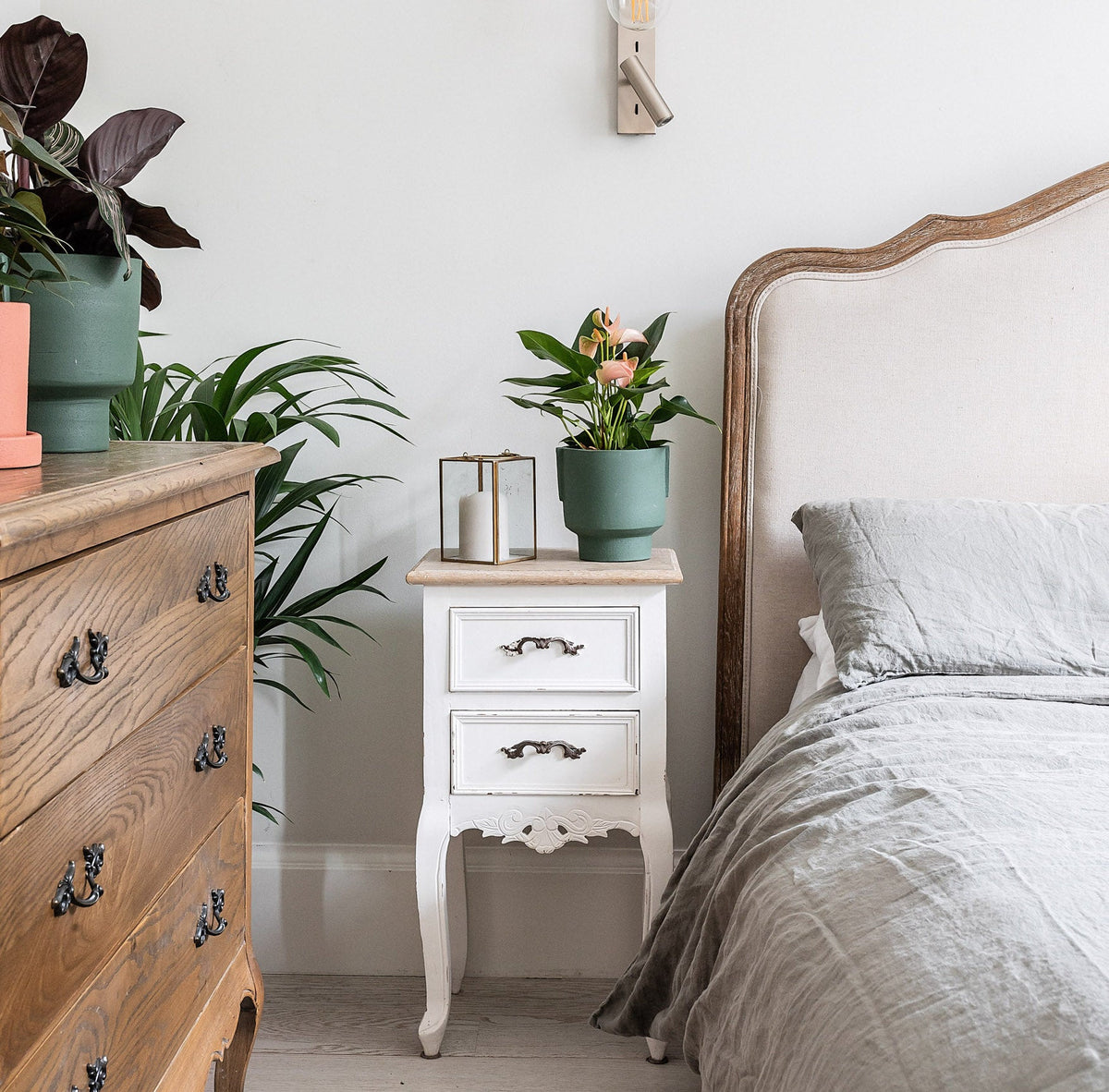 is-it-ok-to-sleep-with-plants-in-your-bedroom-leaf-envy