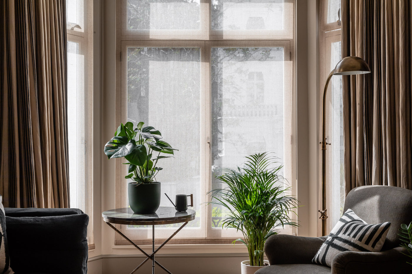 Winter Care Tips for Houseplants