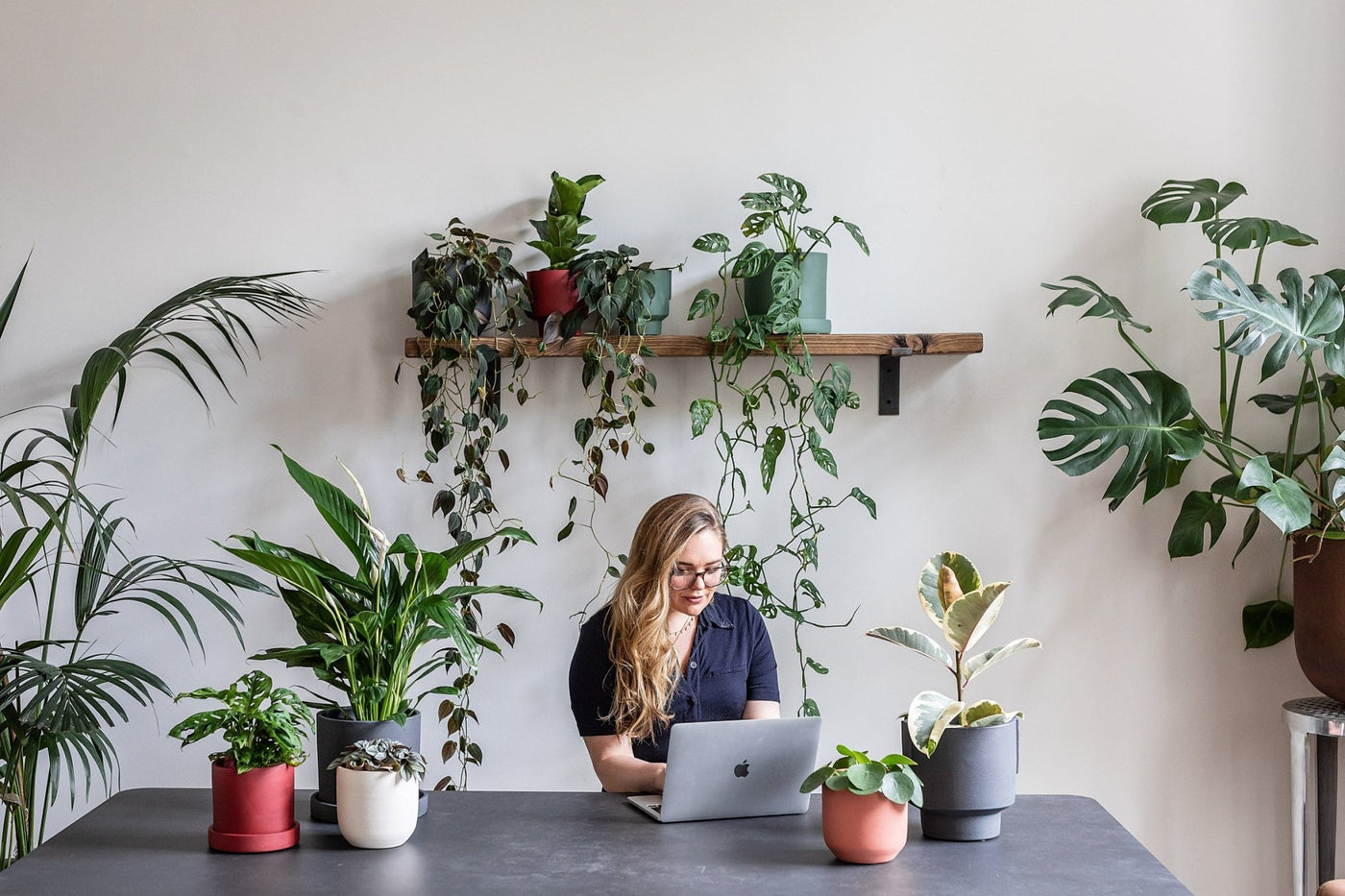 Why plants are great for your workspace - Leaf Envy