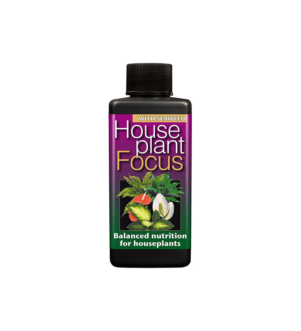 Focus Houseplant Plant Food