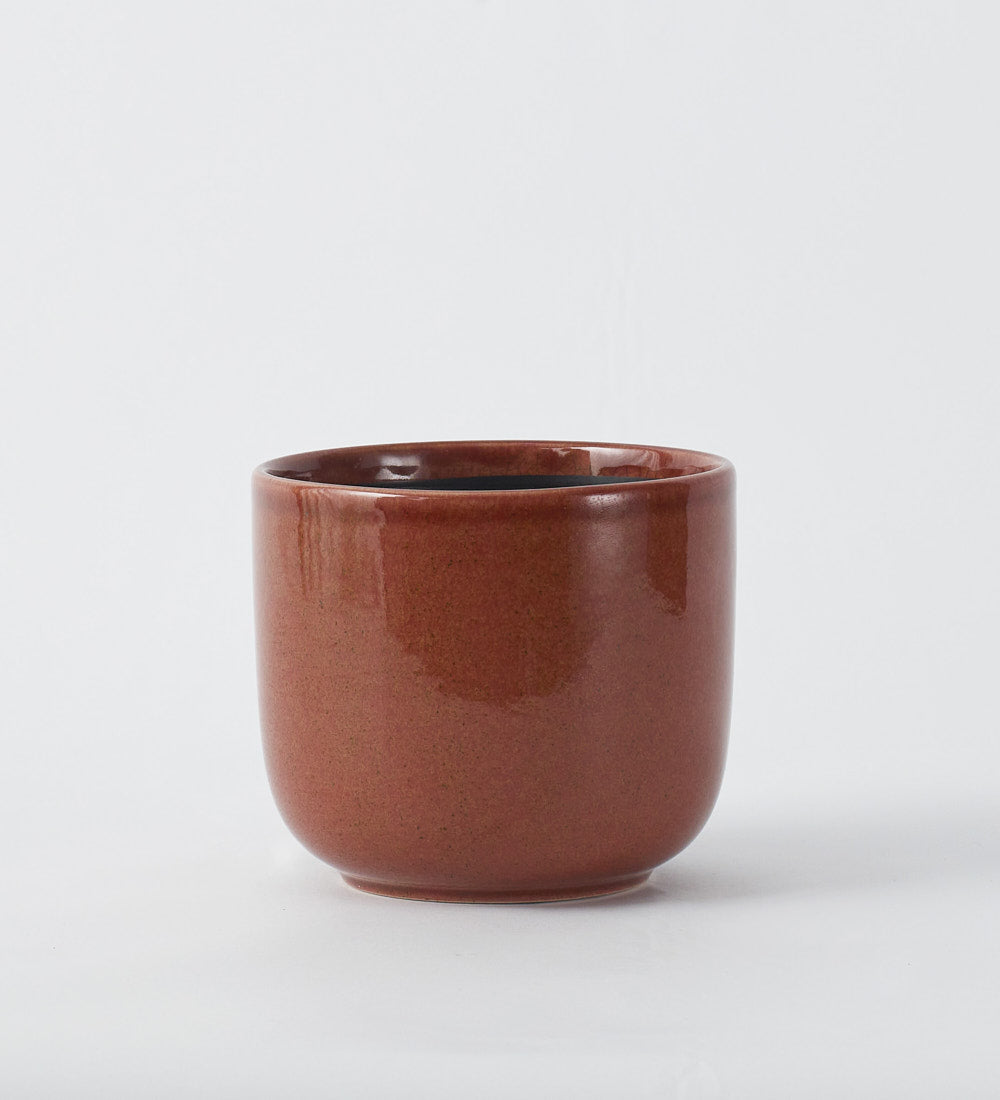 Old Pink Nine Gloss 14cm Pot