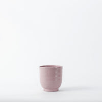 Pink Ares 14cm Pot Image