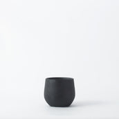 Black Isabel 15cm Pot