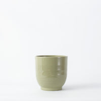 Green Ares 19cm Pot Image