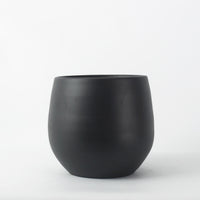 Black Isabel 31cm Pot Image