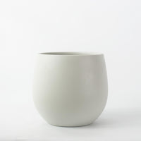 Warm Grey Isabel 31cm Pot Image