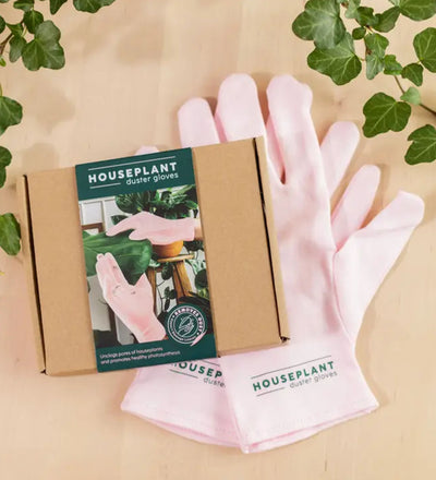 Houseplant Cleaning Gloves