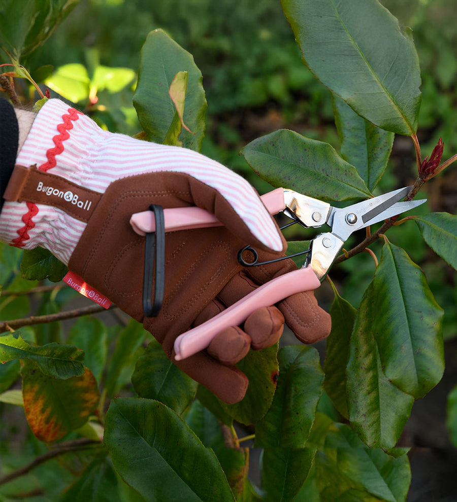 Pink Secateurs