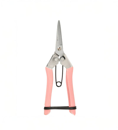 Pink Secateurs