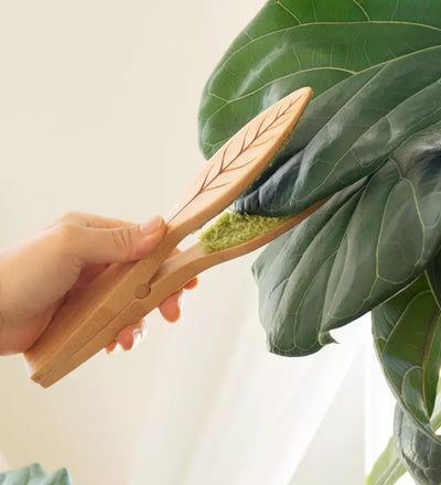 Houseplant Cleaning Tongs