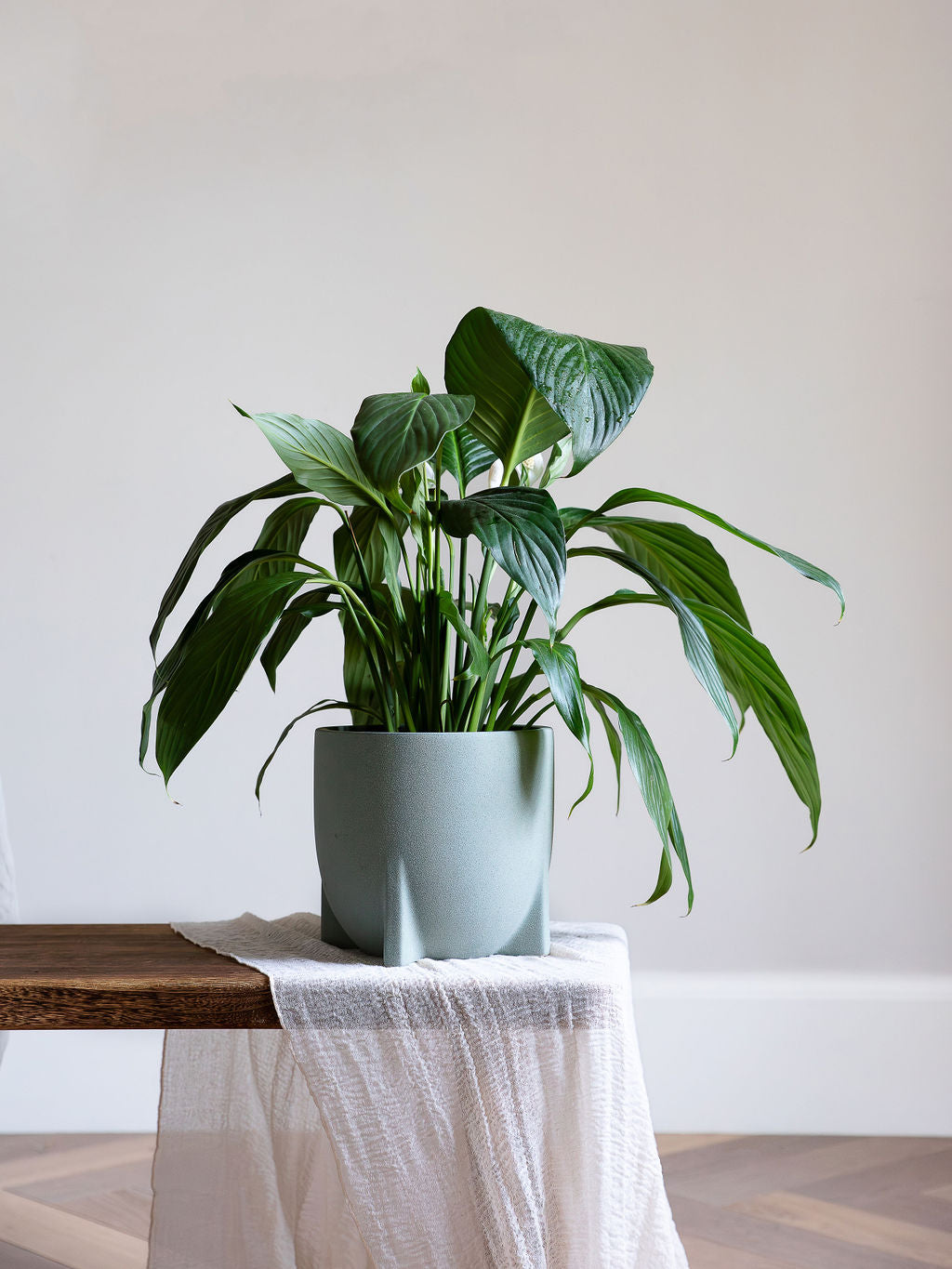 Windsor Sage Green Planter - Leaf Envy