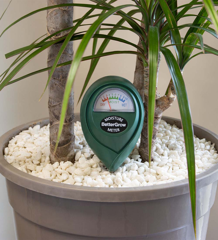 Plant Moisture Meter