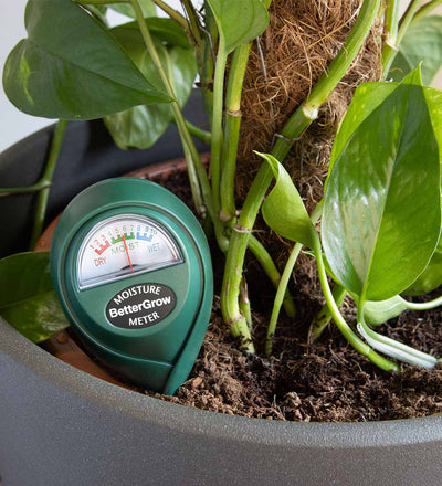 Plant Moisture Meter