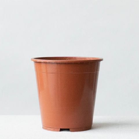 Nursery Pot