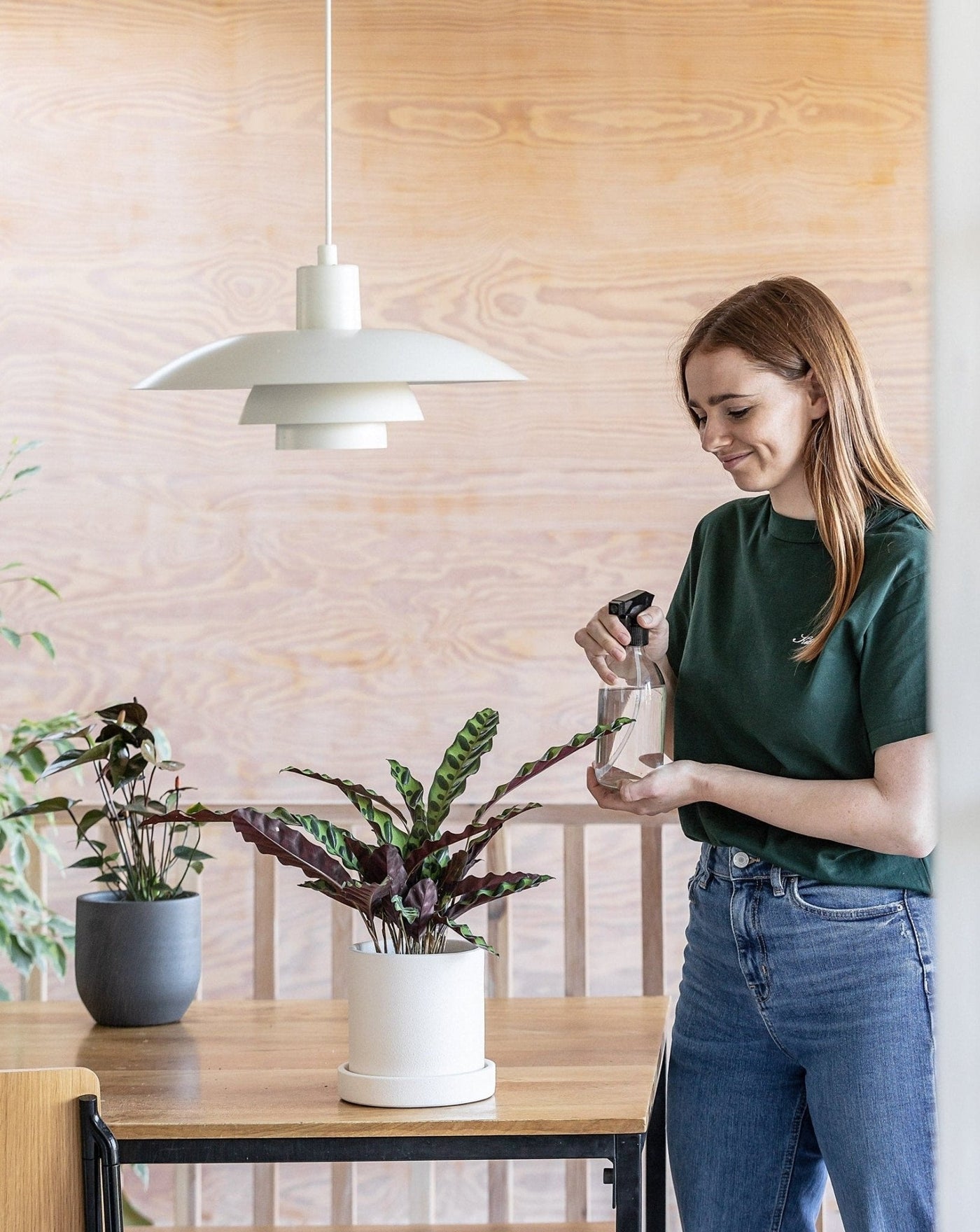 Calathea Rattlesnake - Leaf Envy