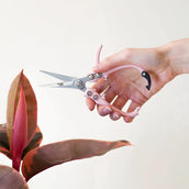 Pink pruning store shears